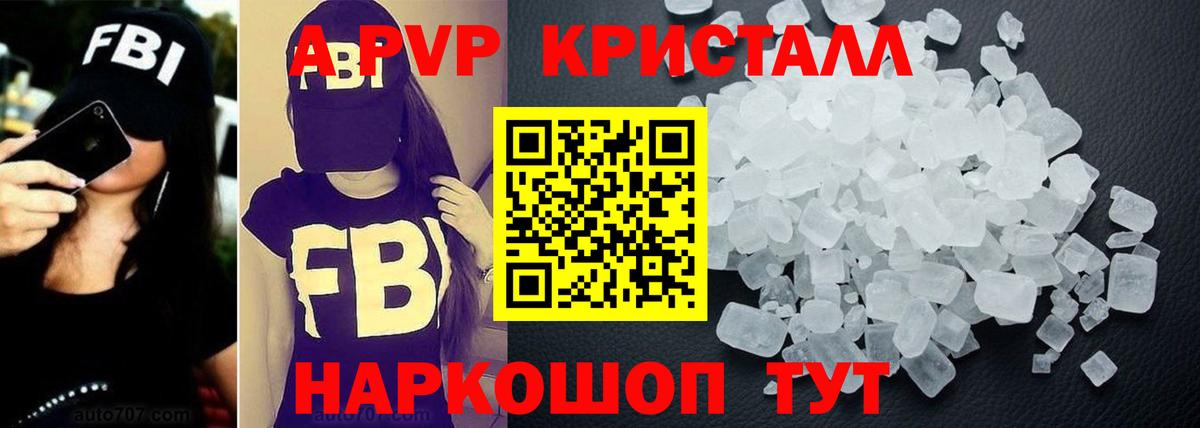 A PVP СК КРИС Дубна