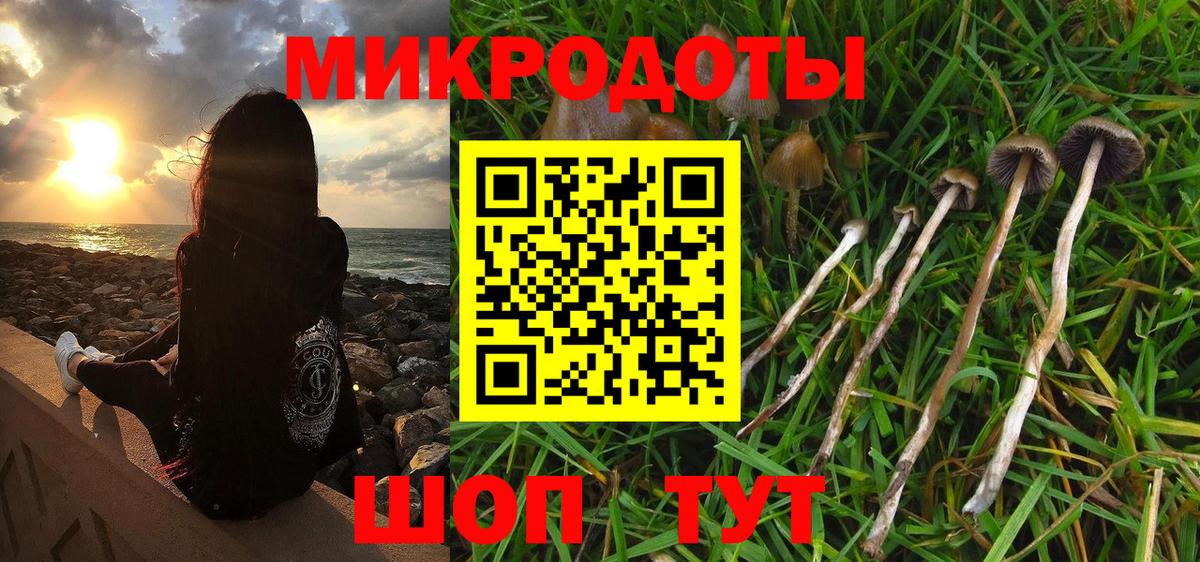 Псилоцибиновые грибы GOLDEN TEACHER  Вход с VPN  Дубна 